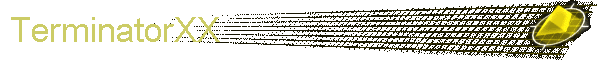 TerminatorXX